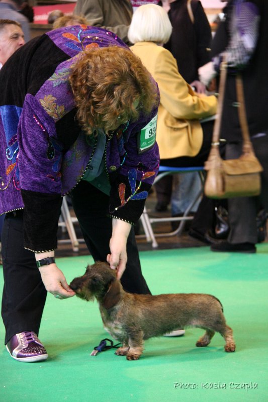 Crufts2010 796.jpg